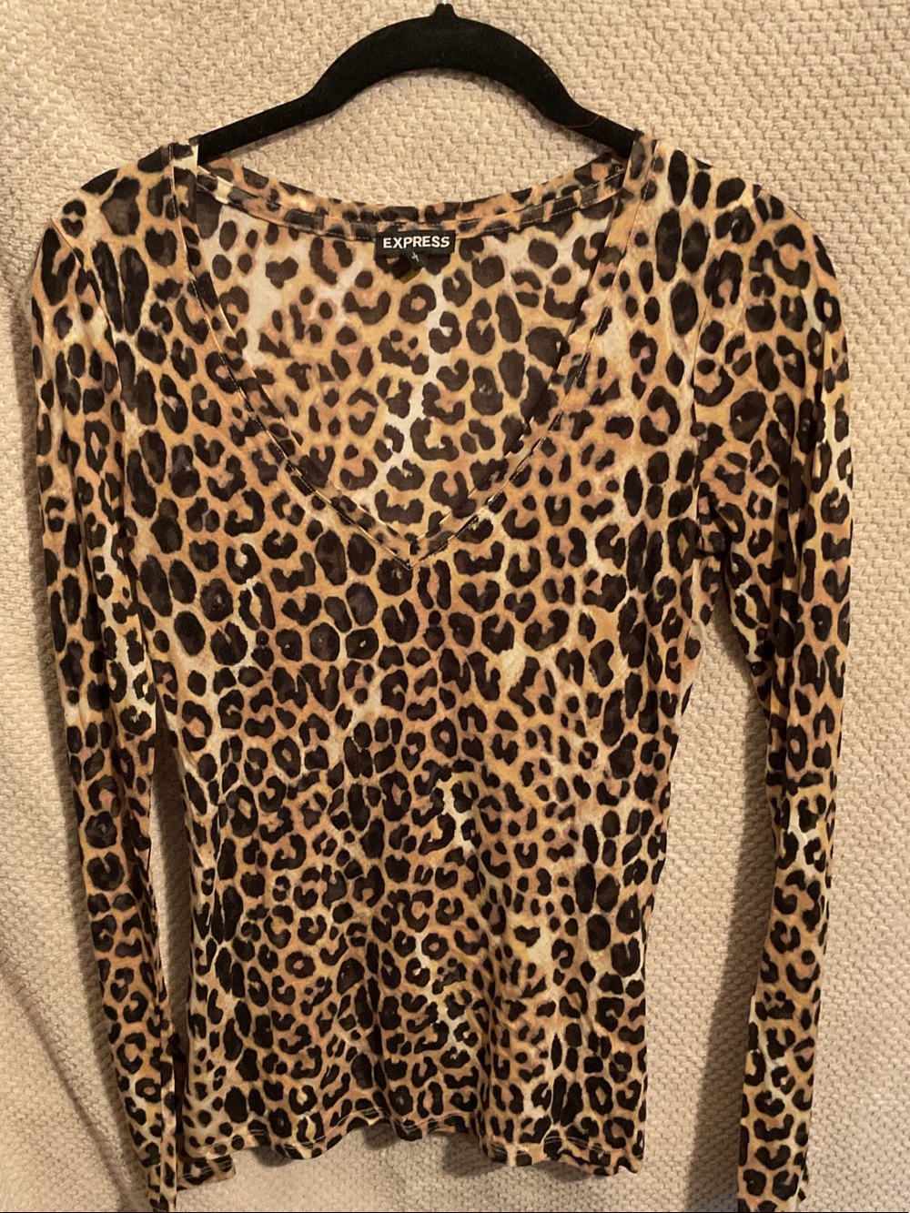 Express Leopard Print V-Neck Long Sleeve Semi Sheer Top
